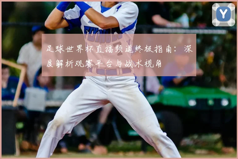 足球世界杯直播频道终极指南：深度解析观赛平台与战术视角