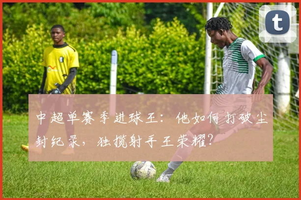 中超单赛季进球王:他如何打破尘封纪录,独揽射手王荣耀?